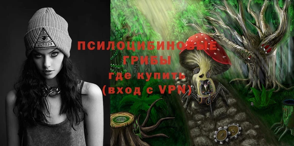 дмт Баксан
